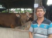 Peternak Hewan Kurban Ucap Terima Kasih atas Pemberian Vaksin oleh Pemkot Bandar Lampung