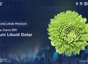 BRI-MI Gandeng DBS Indonesia Luncurkan Reksa Dana BRI Seruni Likuid Dolar