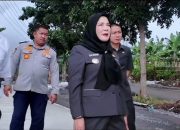 Eva Dwiana Cek Langsung Jalan Rusak, Dua Ruas Diperbaiki Pakai Beton Superkuat