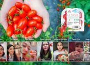 Cherry Tomato Stevia Astyfarm, Tomat Premium yang Bikin Artis Indonesia Jatuh Cinta