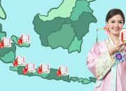 Peta Penyebaran Buah Premium di Indonesia: Dari Jakarta hingga Bali dalam Waktu Singkat