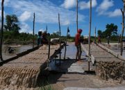 DPR Dukung MIND ID Atasi Tambang Ilegal dan Kembangkan Hilirisasi Timah