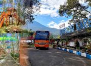 Diversifikasi Usaha, Holding Perkebunan Nusantara Optimalkan Kebun Karet Tak Produktif Jadi Agrowisata Edukatif