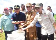 Panen Raya Padi Serentak, Ketua DPRD Lampung Tunjukkan Komitmen Sektor Pertanian