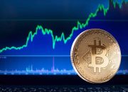 BTC Rally di Tengah Penguatan Dolar, Apakah Investor Perlu Waspada?