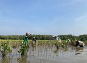 LindungiHutan Ajak Publik Rayakan Hari Menanam Pohon Indonesia dengan Aksi Nyata di Tengah Krisis Iklim