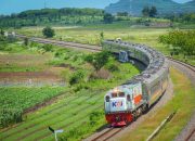 KAI Daop 1 Jakarta Catat Enam Kejadian Pohon Tumbang Sepanjang 2025, Seluruhnya Berhasil Ditangani dengan Cepat