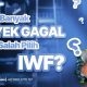 Kenapa Banyak Proyek Gagal Karena Salah Pilih IWF? Ini Penyebabnya