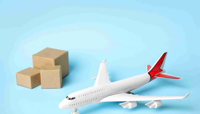 Pilih Express atau Economy? Trik Tepat Waktu Saat Kirim Paket Ke Luar Negeri