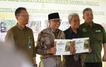 Lembah Hijau Tambah Populasi Harimau Sumatera