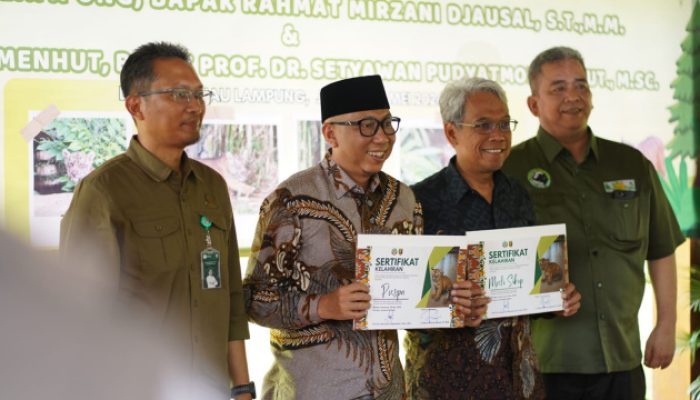 Lembah Hijau Tambah Populasi Harimau Sumatera