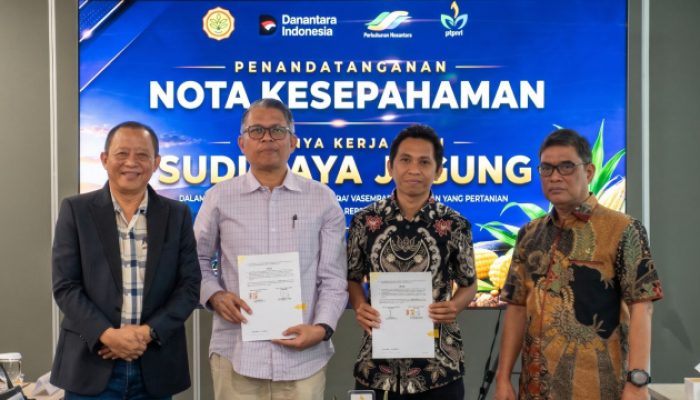 PTPN I Optimalkan 10.000 Hektare Lahan untuk Budi Daya Jagung