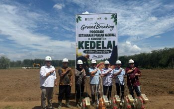 PTPN IV PalmCo Matangkan Pilot Project Kedelai Dukung Percepatan Swasembada Pangan Nasional