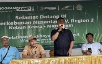 PTPN IV Keera: Kunci Harga TBS Tinggi Ada pada Penerapan Budidaya Sesuai Standar