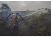 Kabut Asap Mulai Selimuti Kalimantan, PTPN IV PalmCo Perketat Patroli dan Mitigasi Karhutla di 4 Provinsi