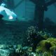 Bathymetry Survey dengan ROV: Cara Memetakan Dasar Perairan Secara Akurat