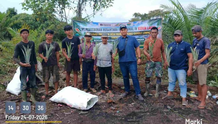 PTPN IV PalmCo Salurkan Bibit Nanas untuk Tingkatkan Ekonomi Warga Jambi