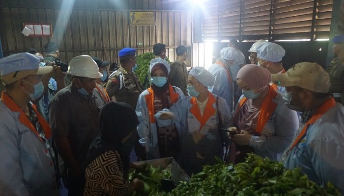 Kunjungi PTPN I, Dubes Palestina Puji Pengelolaan Kebun